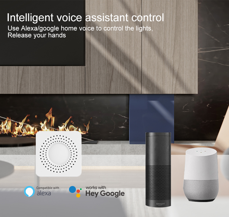 Tuya Mini Smart Switch WiFi 1- - đánh giá và giá Home Assistant Tuya